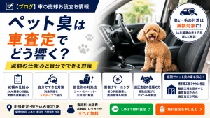 ペット臭は車査定でどう響く？減額の仕組みと自分でできる対策