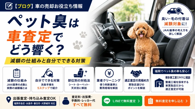 ペット臭は車査定でどう響く？減額の仕組みと自分でできる対策
