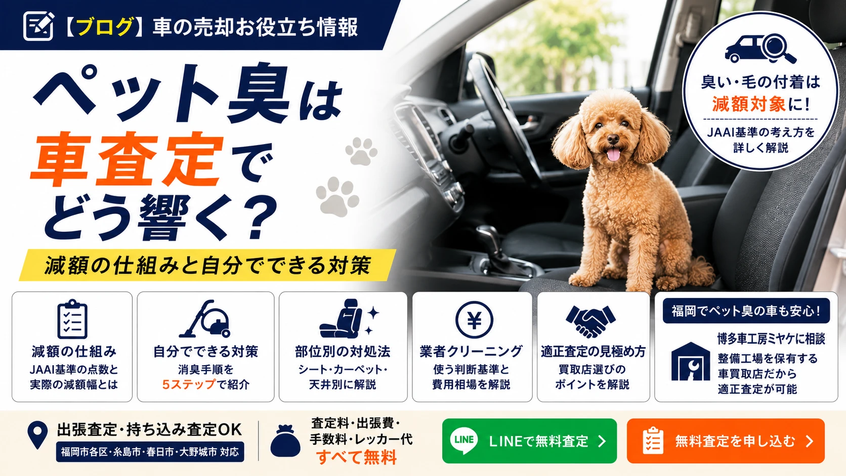 ペット臭は車査定でどう響く？減額の仕組みと自分でできる対策